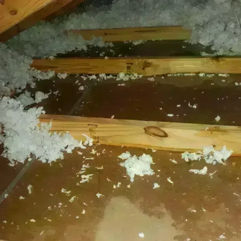 Attic Water Damage in Rice Lake, WI