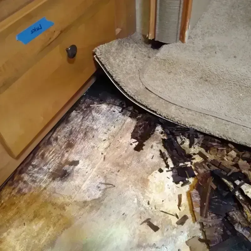 Wood Floor Water Damage in Rice Lake, WI